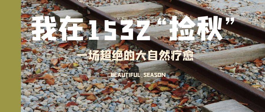 秋分秋分詩句黃色寫實公眾號首圖 (2)