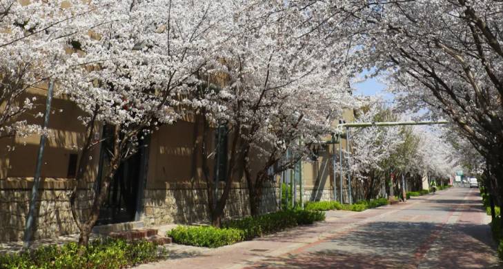 ScreenShot_2026-01-19_090145_655