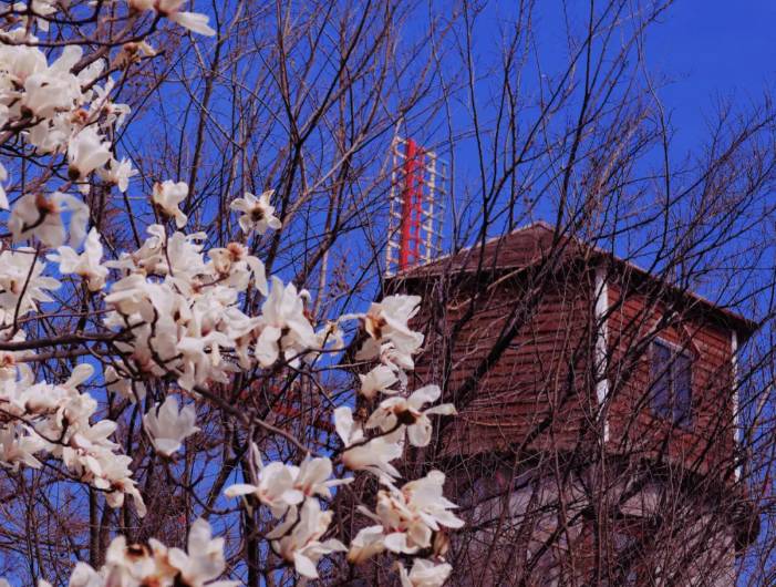 ScreenShot_2026-04-03_142433_972